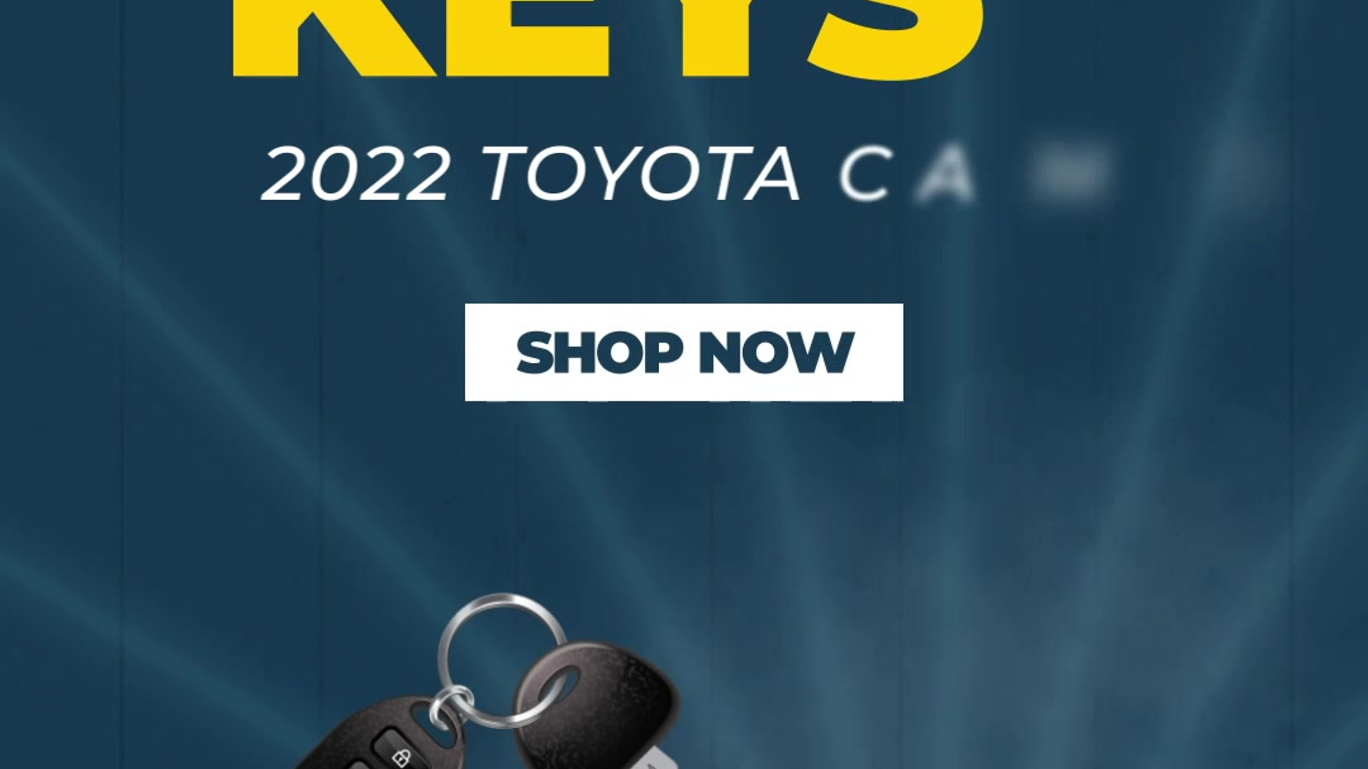 001.TradeKeys